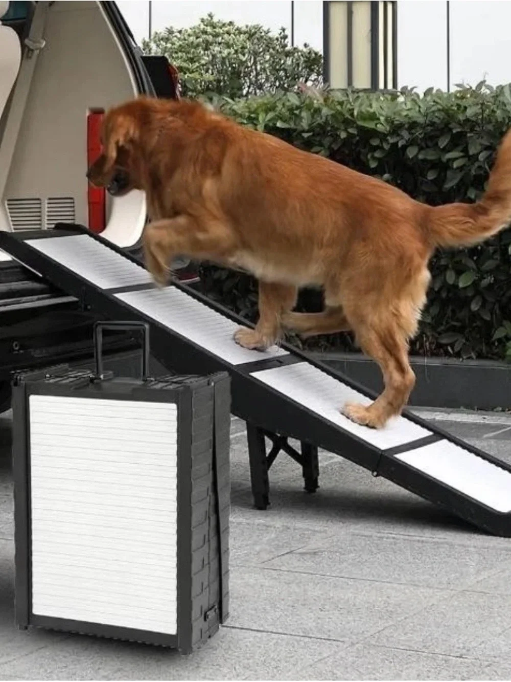 Portable Black & White Foldable Dog Ramp for Pets